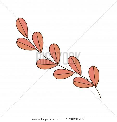 color Silhouette oval leaves with ramifications vector illustration
