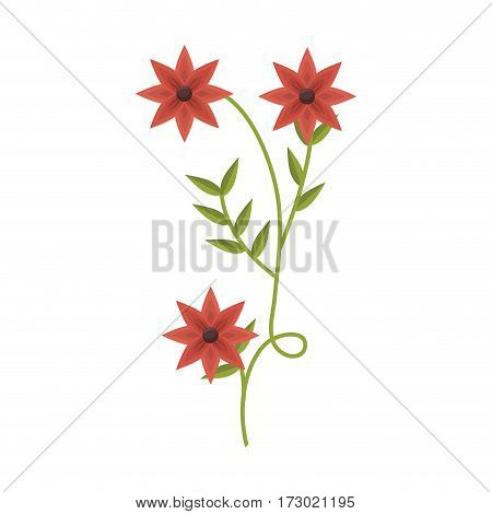 plant with ramification and red flowers vector illustration