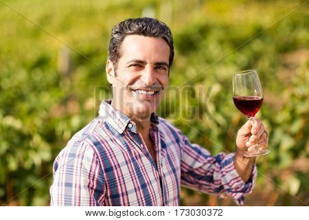 Portrait of smiling male vintner holding a glass of wine in vineyard