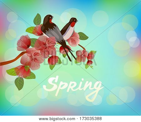 Nature background with blossom branch of pink sakura flowers. Vector template isolated