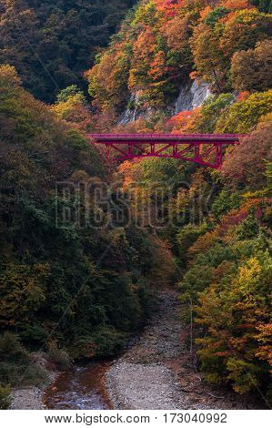 Beautiful Autumn Scene In Takamura Village