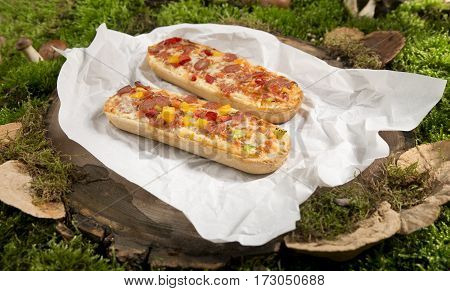 baguette food on stump cloth background nature moss fungus grass green rays of light shadow summer