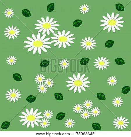 Floral seamless pattern with chamomiles and green leaves on light green background. Vector illustration
