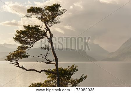 Norwegian fjord landscape. Folgefonn peninsula. Hereiane rest area. Visit Norway