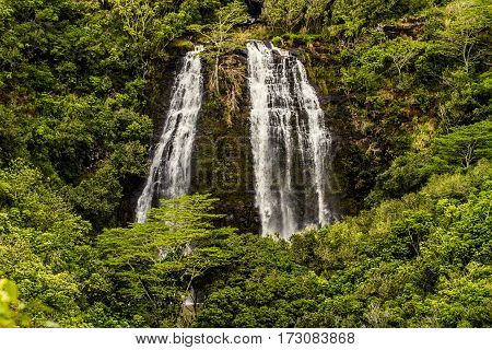 Hawaiian Waterfall