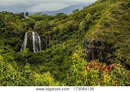 Hawaiian Waterfall