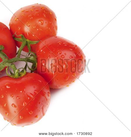 토마토