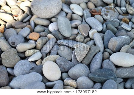 Beautiful multi-colored pebbles on the beach sea