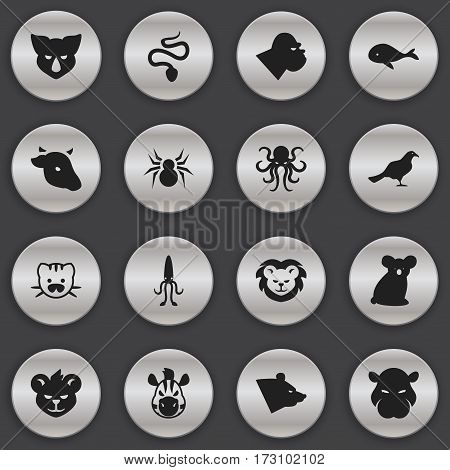 Set Of 16 Editable Zoology Icons. Includes Symbols Such As Chimpanzee, Beast, Serpent And More. Can Be Used For Web, Mobile, UI And Infographic Design.
