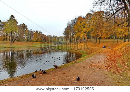 Beautiful romantic alley in a park with colorful trees and sunlight. autumn natural background Gatchina
