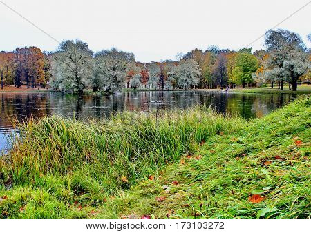 Beautiful romantic alley in a park with colorful trees and sunlight. autumn natural background Gatchina