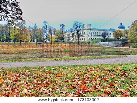 Beautiful romantic alley in a park with colorful trees and sunlight. autumn natural background Gatchina