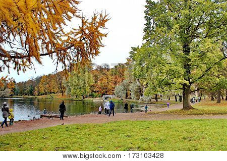 Beautiful romantic alley in a park with colorful trees and sunlight. autumn natural background Gatchina