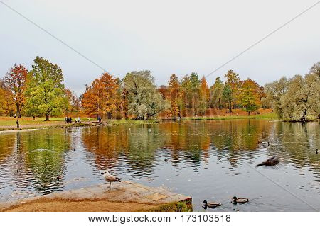 Beautiful romantic alley in a park with colorful trees and sunlight. autumn natural background Gatchina