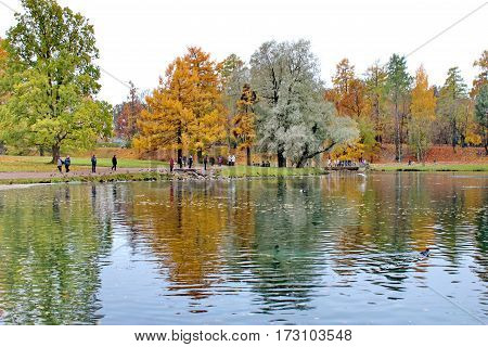Beautiful romantic alley in a park with colorful trees and sunlight. autumn natural background Gatchina