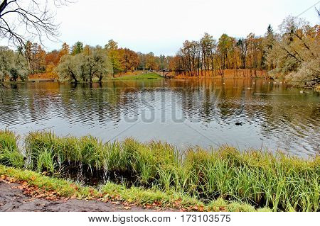 Beautiful romantic alley in a park with colorful trees and sunlight. autumn natural background Gatchina