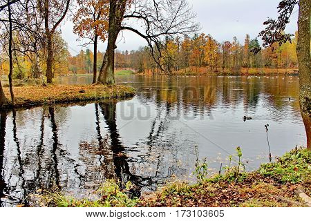 Beautiful romantic alley in a park with colorful trees and sunlight. autumn natural background Gatchina