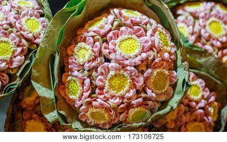 Bouquet of beautiful water lily or lotus.