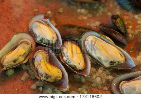 seafood mussels with vegetables and tomato cozze in umido