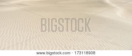 Stunning panoramic Mangawhai Heads sand dunes windswept ripple patterns background