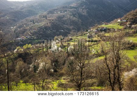 Sliding Village Ropoto After A Landslide In Greece