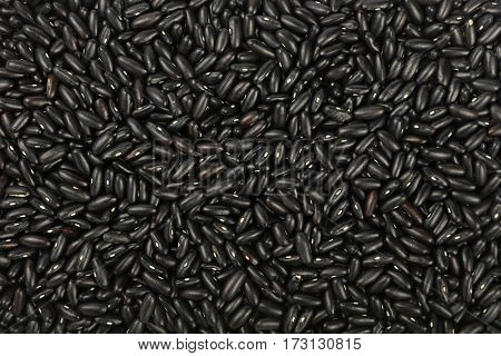 Black Frigole Kidney Beans Close Up Background