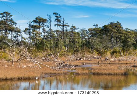 Overview of the Bogue Sound coastal area on the Pure knoll shores of Emerald island between the outer banks and the mainland of North Carolina
