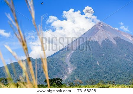 Smoke puffs from Fuego volcano, Guatemala, Central America