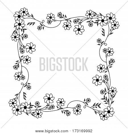 monochrome contour with square frame ornament with creepers and violet flowers vector illustration