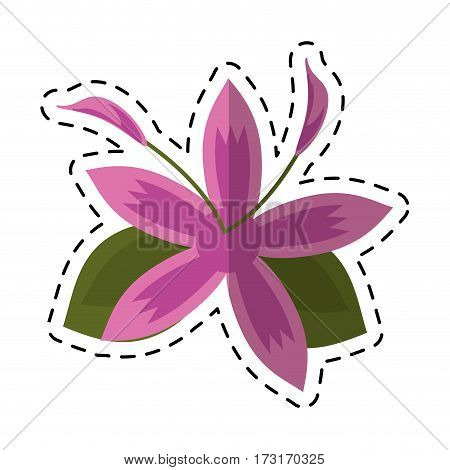cartoon flower daylily beautiful flora vector illustration eps 10