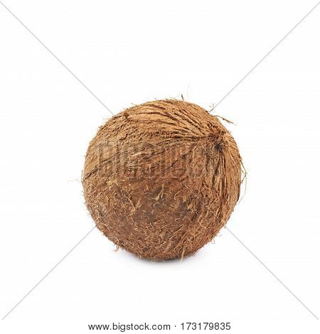 Single whole coconut isolated over the white background