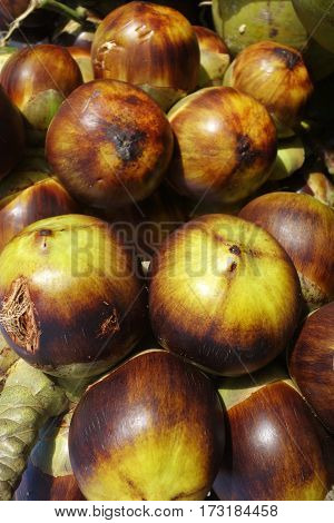 Sea coconut or Lodoicea Maldivica sold on the street