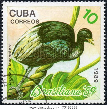 UKRAINE - CIRCA 2017: A stamp printed in Cuba shows a bird White-winged trumpeter Psophia leucoptera the series Brasiliana '89 circa 1989