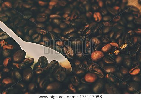 Grain beans coffe and silver spoon. Detail ingredients for hot drin.