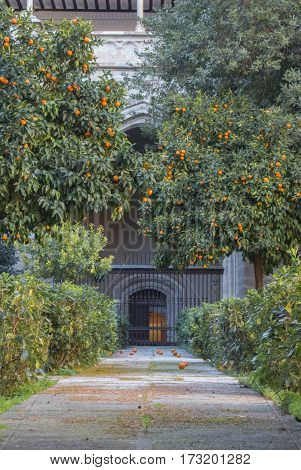 A yard of the Primate Cathedral of Saint Mary of Toledo with a garden of orange trees gates and a footpath Castilla-La Mancha Spain.