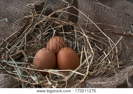 Ecological natural fresh bird eggs in a nest born on fabric