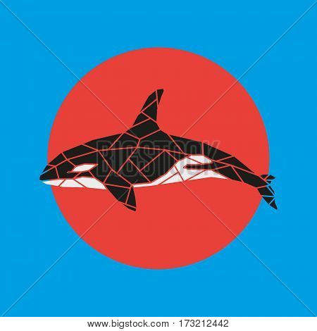 Geometry grampus whale vector illustration on red and blue background.