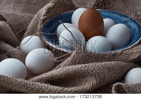 Ecological natural fresh eggs collected in the plate for cooking