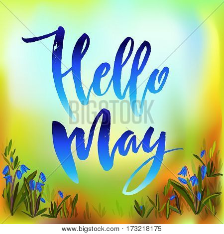 Calligraphy quote hello may. Handwritten lettering with watercolor background and snowdrop floral border frame, modern brush pen lettering Vector illustration stock vector.