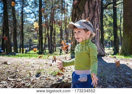 Autumn Fun: A Boy Throws Fallen Leaves Up Into The Air.