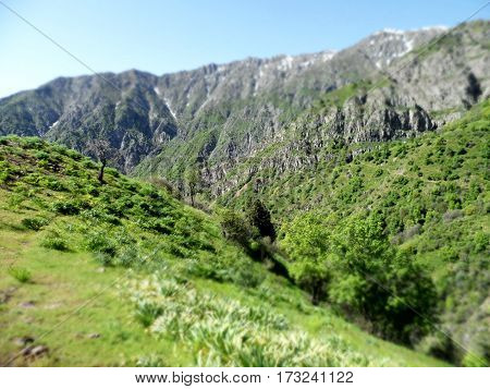 mountain peak landscape nature climb travel high rock climbing forest hiking outdoor trekking hike view top snow graphic silhouette adventure background beautiful park scenic logo hill range illustration design geology hiker backpack element sport people