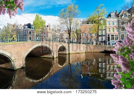 Houses over canal with beautiful reflections, Amstardam, Netherlands with lilac flowers