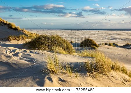 Dunes on the North Sea coast on the island Amrum Germany.
