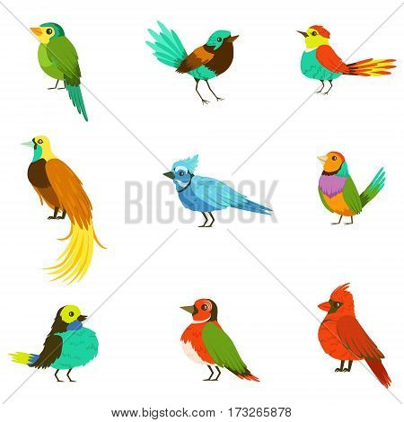 Exotic Birds From Jungle Rain Forest Collection Of Colorful Animals Including Species Of Paradise Birds And Parrots. Winged Fauna Of Southern Regions With Bright Color Feathers Vector Illustrations.