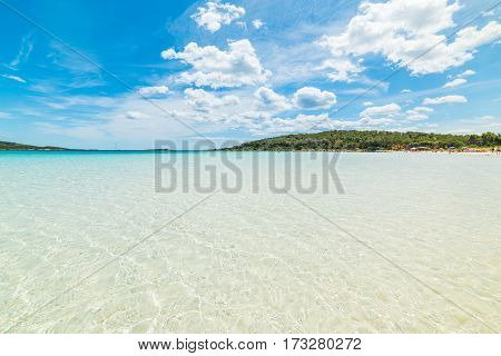Clear water in Cala Brandinchi in Sardinia