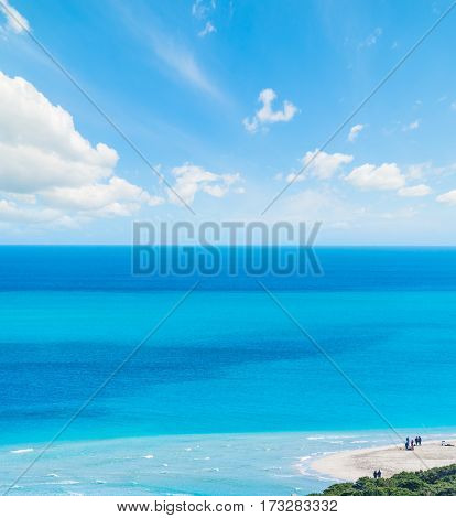 La Pelosa beach on a sunny day Sardinia