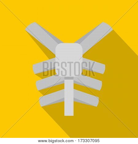 Human thorax icon. Flat illustration of human thorax vector icon for web