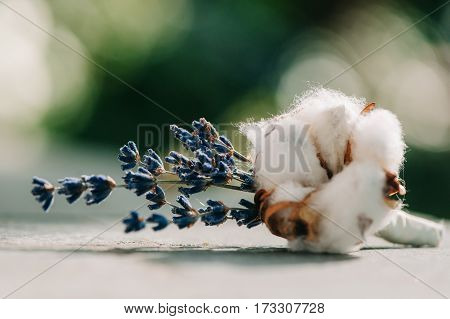 Tender Lavender And Cotton Put In A Boutonniere, Closeup