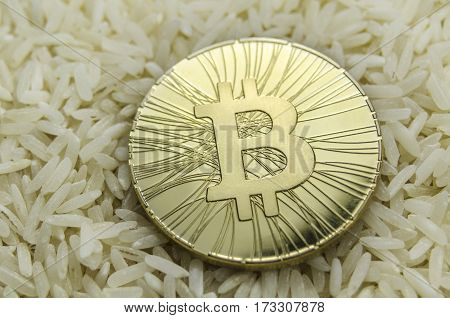 Shiny Gold Bitcoin Coin Laying On Chinese Rice