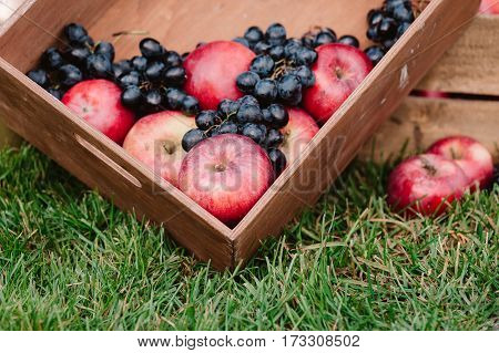 Autumnal Composition Of Red Apples And Dark Blue Grape In Wooden Box On Grass